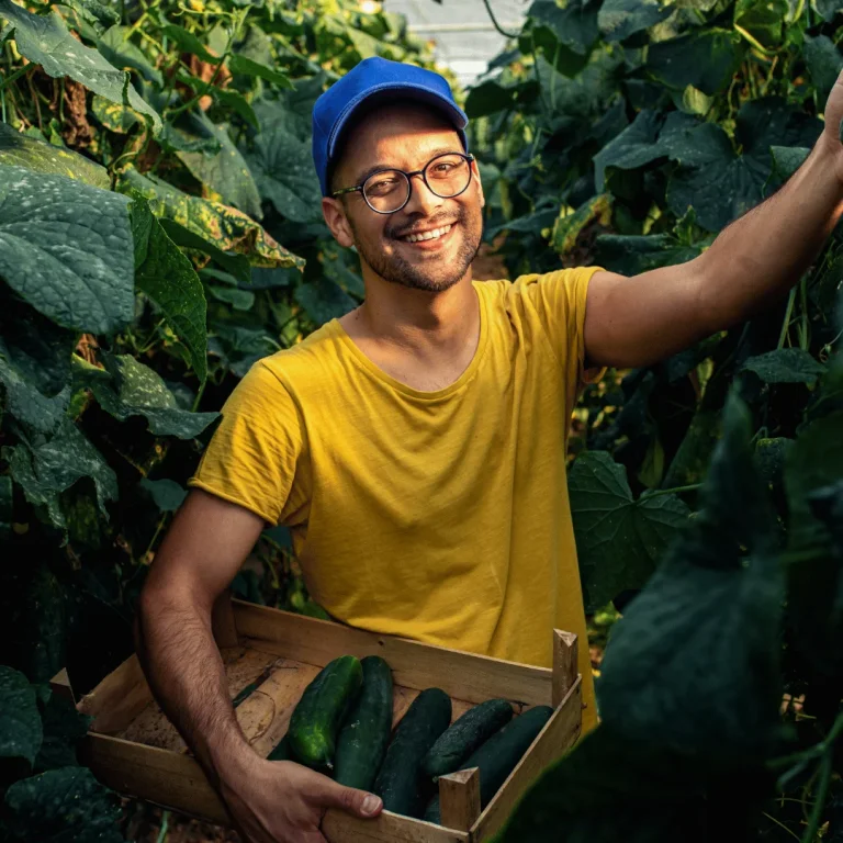 Erntehelfer für Gemüse